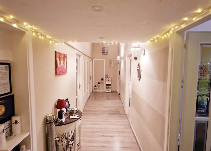 住宿加早餐酒店 Elisa